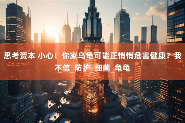 思考资本 小心！你家乌龟可能正悄悄危害健康？我不信_防护_细菌_龟龟