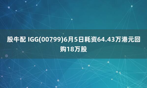 股牛配 IGG(00799)6月5日耗资64.43万港元回购18万股