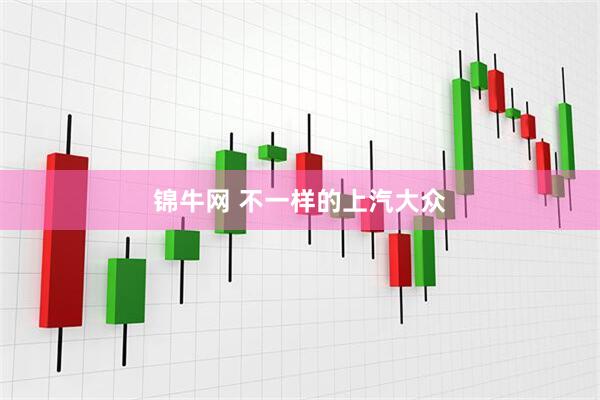 锦牛网 不一样的上汽大众