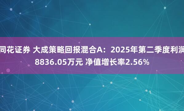 同花证券 大成策略回报混合A：2025年第二季度利润8836.05万元 净值增长率2.56%