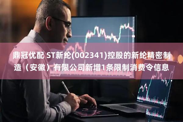 鼎冠优配 ST新纶(002341)控股的新纶精密制造（安徽）有限公司新增1条限制消费令信息