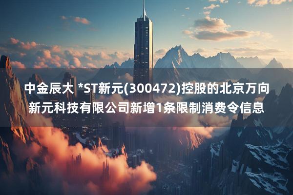 中金辰大 *ST新元(300472)控股的北京万向新元科技有限公司新增1条限制消费令信息