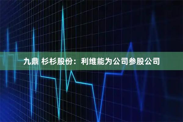 九鼎 杉杉股份：利维能为公司参股公司